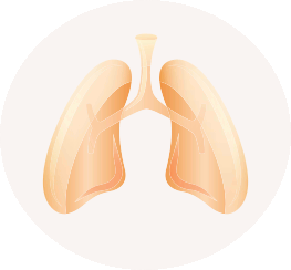 Respiratory Health Ayurveda