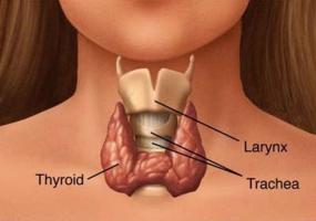 Ayurveda Hypothyroid Example 1