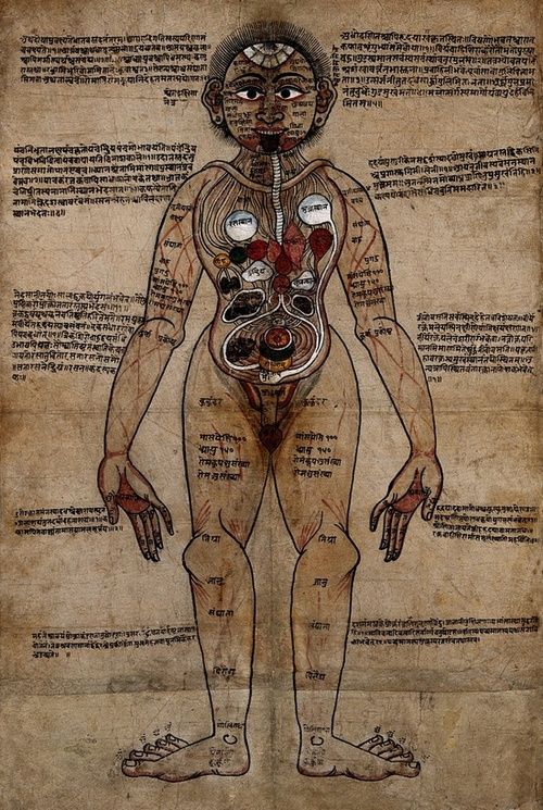 Ayurveda Anatomy